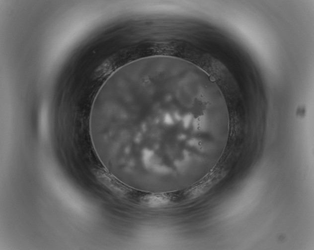 X0000091510765200708171155