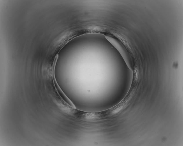 X0000091510766200708171155