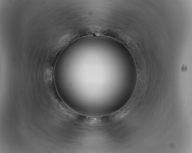 X0000091510768200708171155