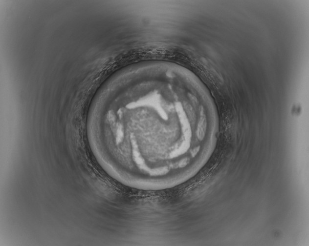 X0000091510769200708171155