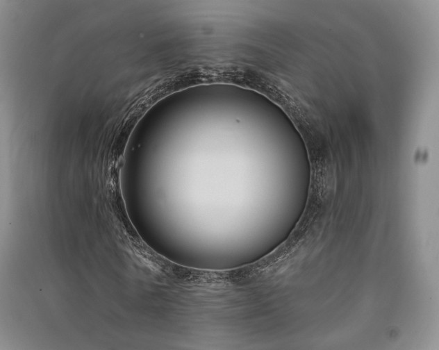X0000091510770200708171155