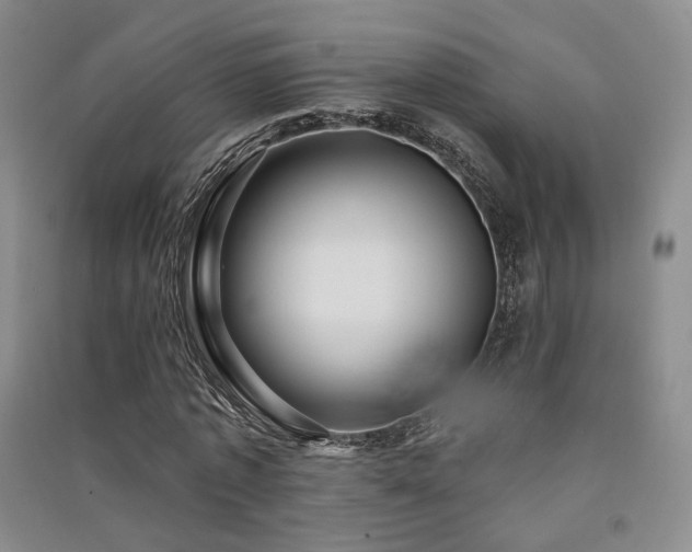 X0000091510773200708171155
