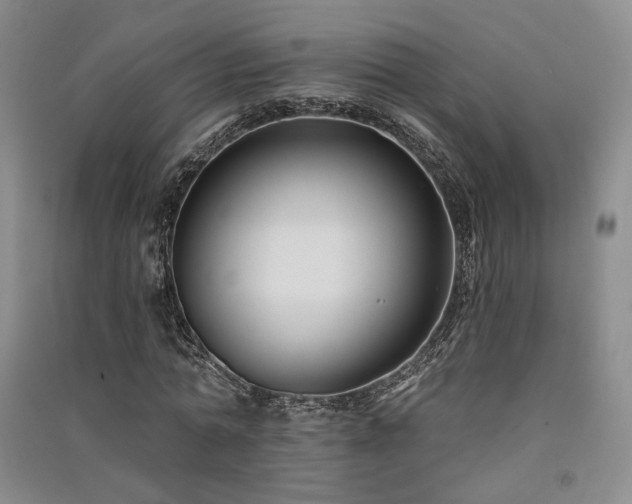 X0000091510774200708171155