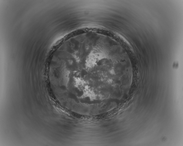 X0000091510775200708171155