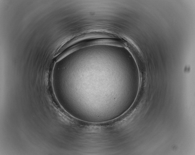X0000091510777200708171155