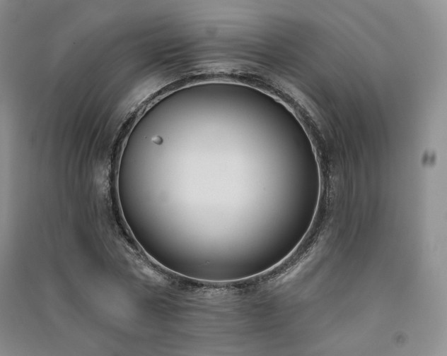 X0000091510778200708171155