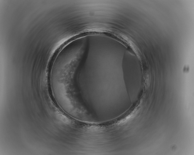X0000091510779200708171155