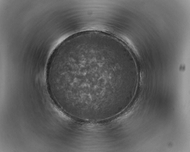 X0000091510780200708171155