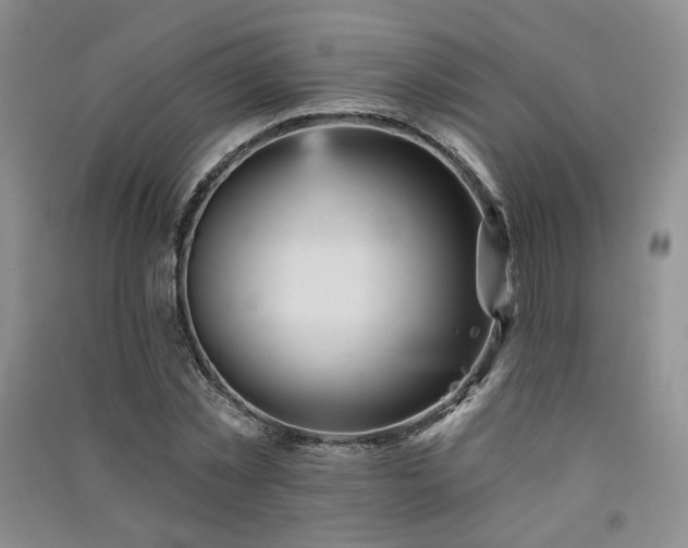 X0000091510781200708171155