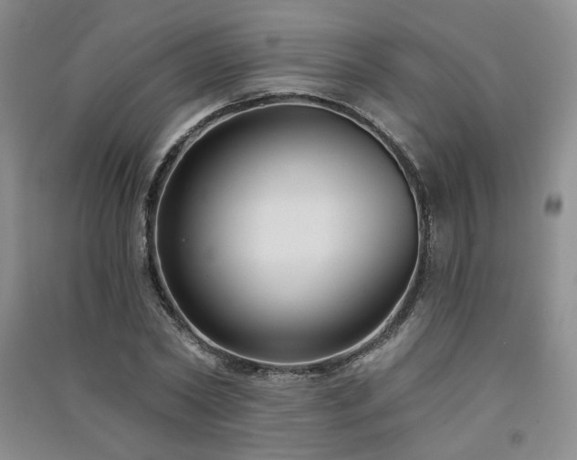 X0000091510782200708171155