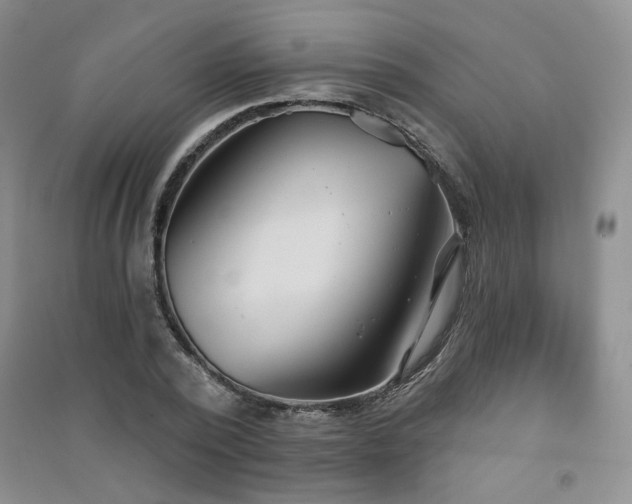 X0000091510784200708171155