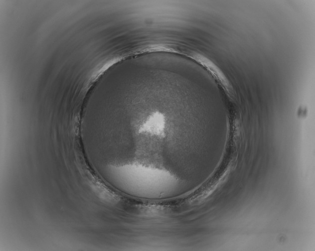 X0000091510785200708171155