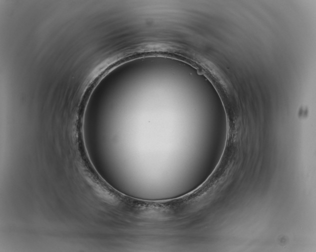 X0000091510786200708171155