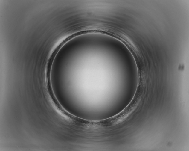 X0000091510788200708171155