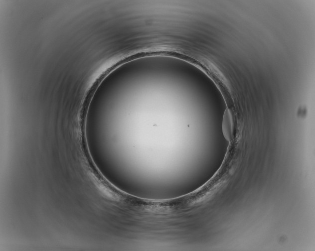 X0000091510789200708171155