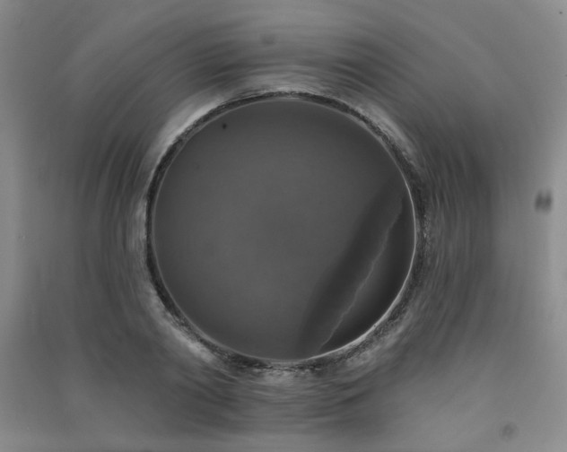 X0000091510790200708171155
