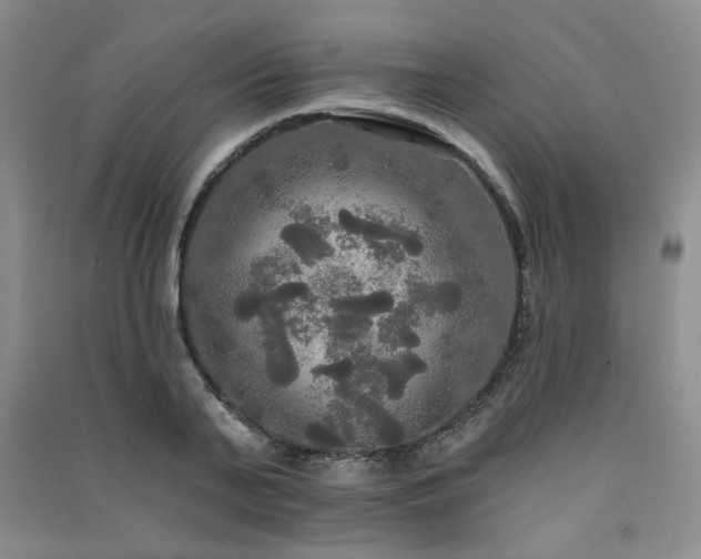 X0000091510791200708171155