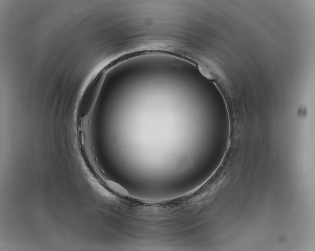 X0000091510792200708171155