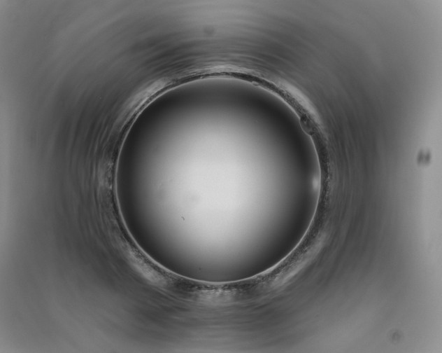 X0000091510793200708171155