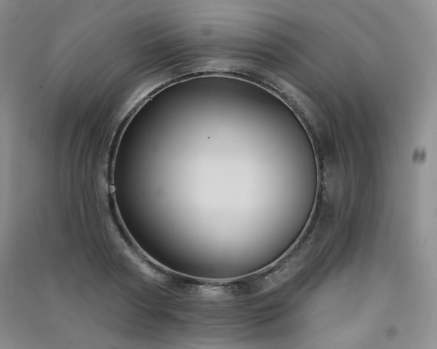 X0000091510794200708171155