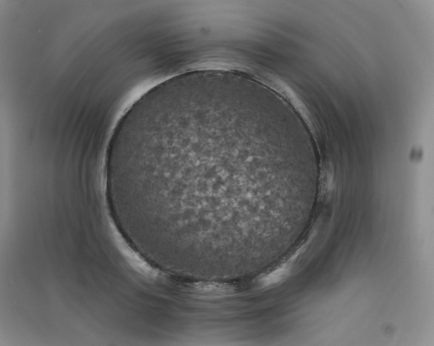 X0000091510795200708171155