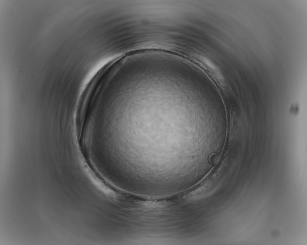 X0000091510796200708171155