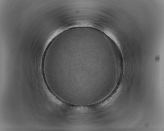 X0000091510797200708171154