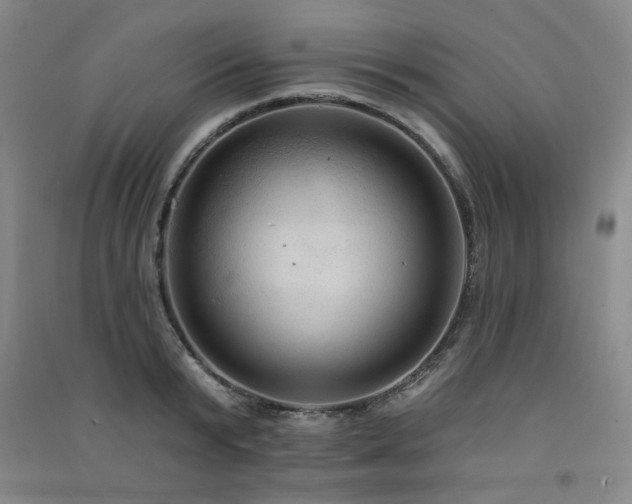 X0000091510799200708171154