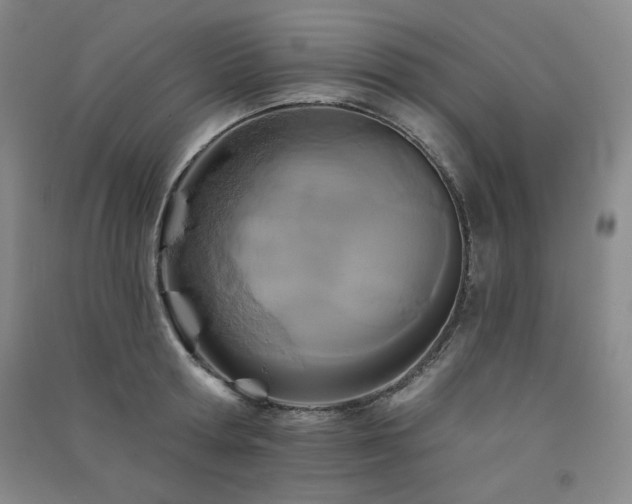 X0000091510802200708171154