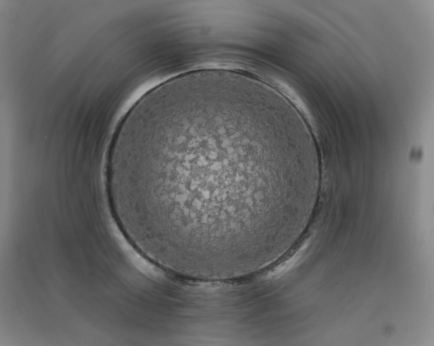 X0000091510803200708171154