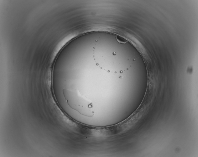 X0000091510804200708171154