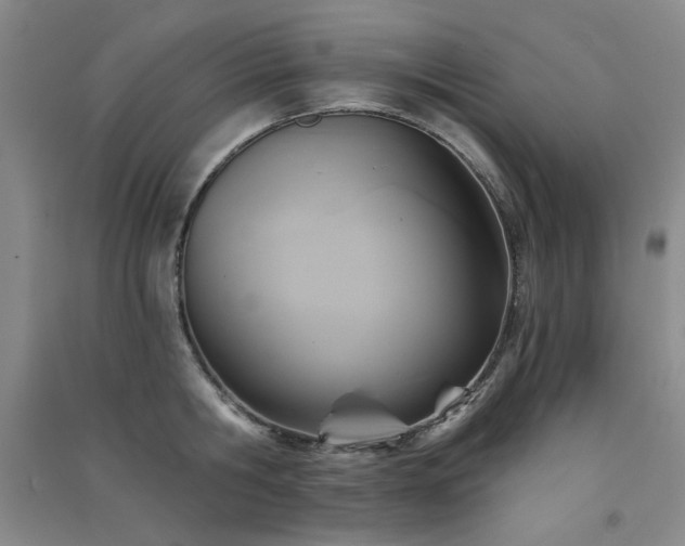 X0000091510806200708171154