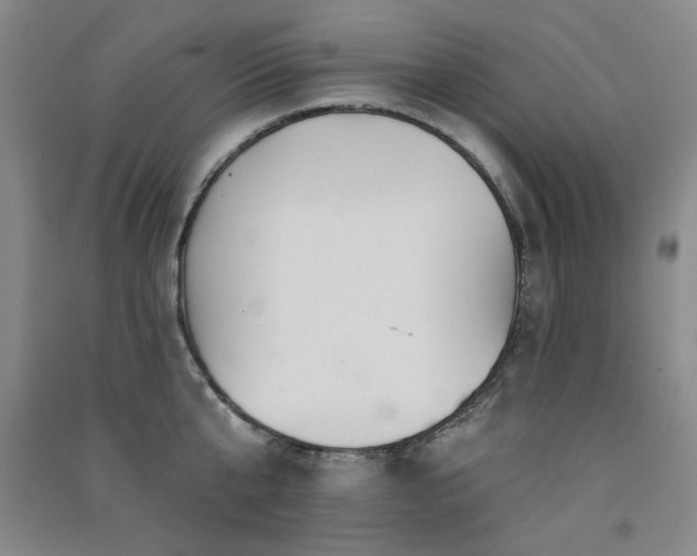X0000091510807200708171154