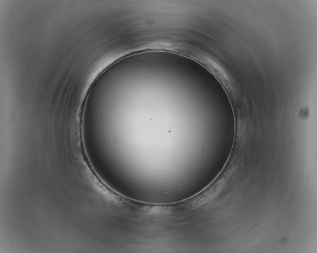 X0000091510808200708171154