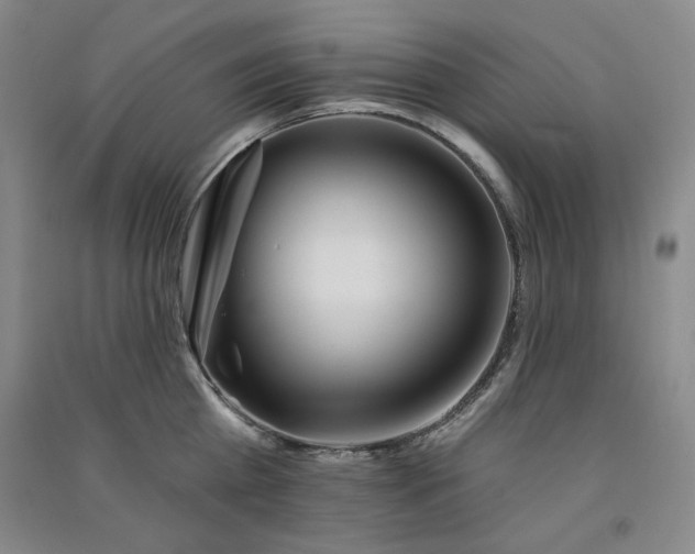 X0000091510809200708171154