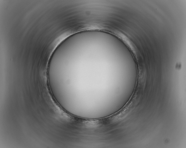 X0000091510810200708171154