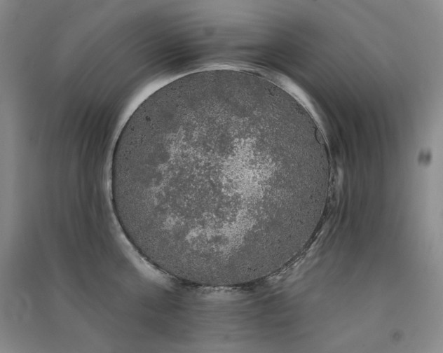 X0000091510811200708171154