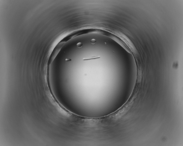 X0000091510812200708171154