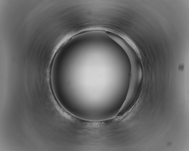 X0000091510813200708171154