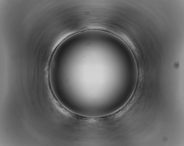 X0000091510814200708171154