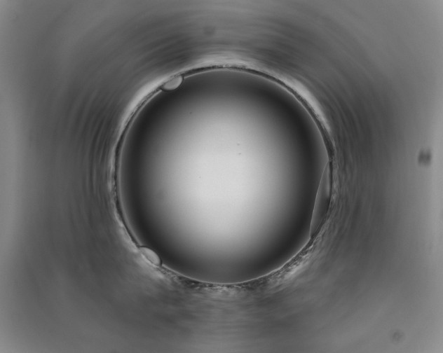 X0000091510815200708171154