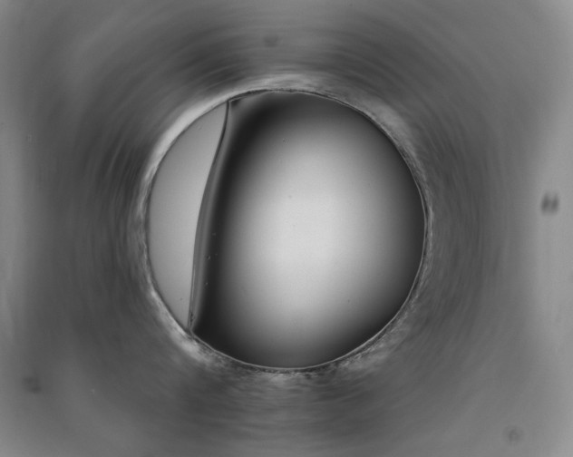 X0000091510816200708171154
