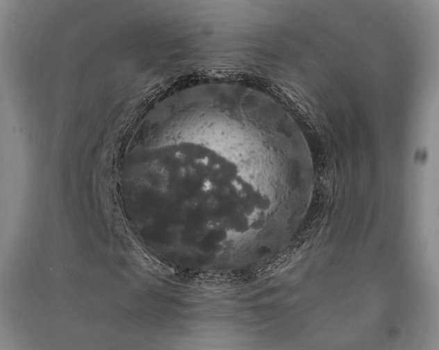 X0000091510817200708171154