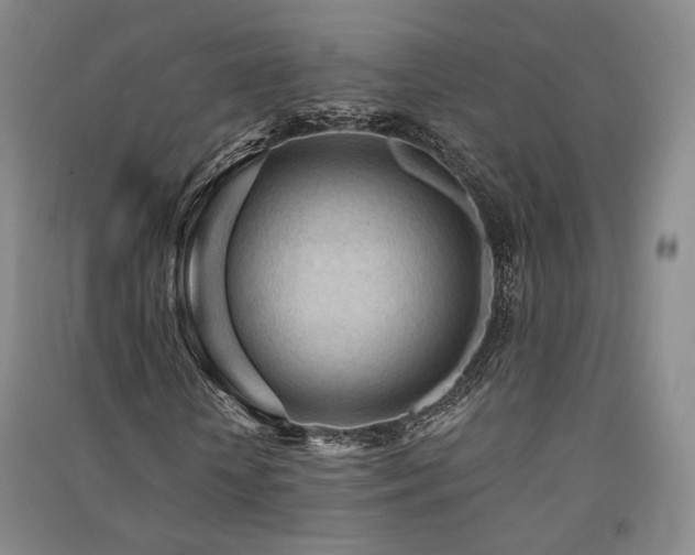 X0000091510818200708171154