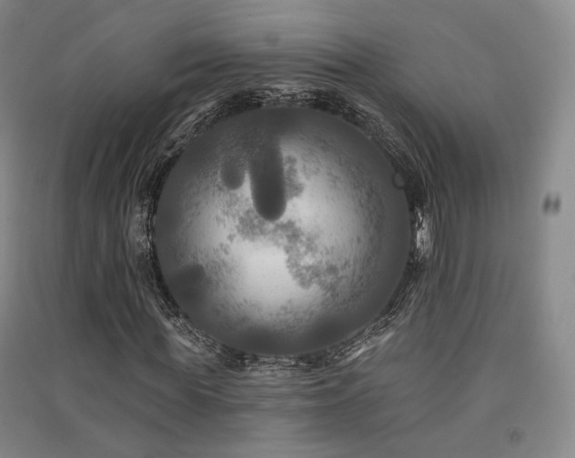 X0000091510819200708171154