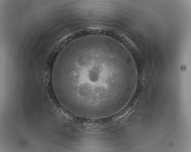 X0000091510821200708171154