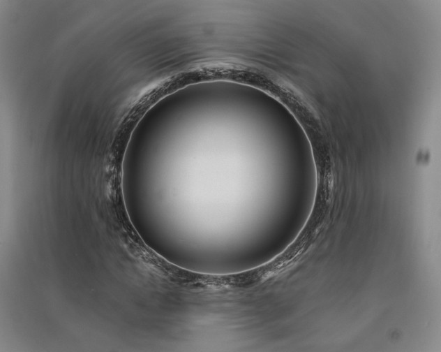 X0000091510822200708171154