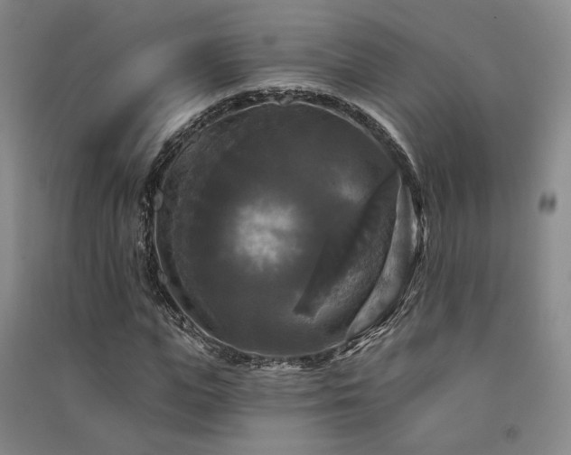 X0000091510823200708171154