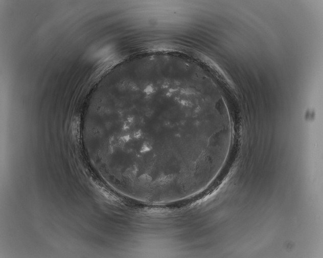 X0000091510825200708171154