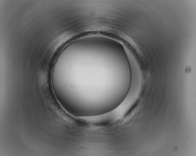 X0000091510826200708171154